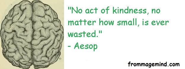 2018 07 29 Aesop