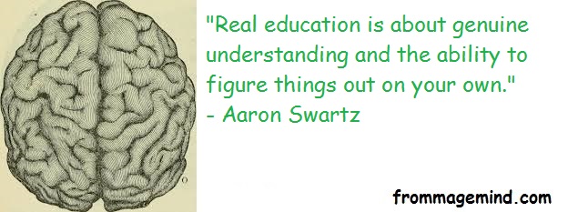 2020 01 31 Aaron Swartz