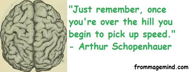 2020 02 05 Arthur Schopenhauer - Copie