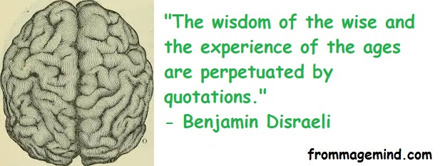 Great Quote by Benjamin&nbsp;Disraeli