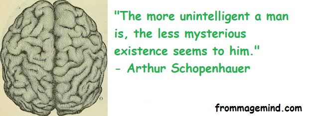 Great Quote by Arthur&nbsp;Schopenhauer